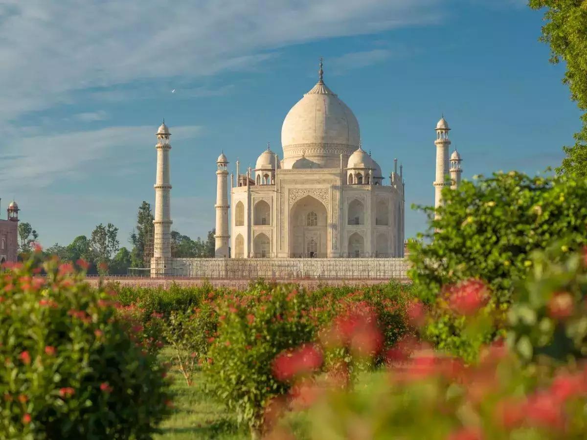 The Taj Mahal viewed across flowering gardens in Agra