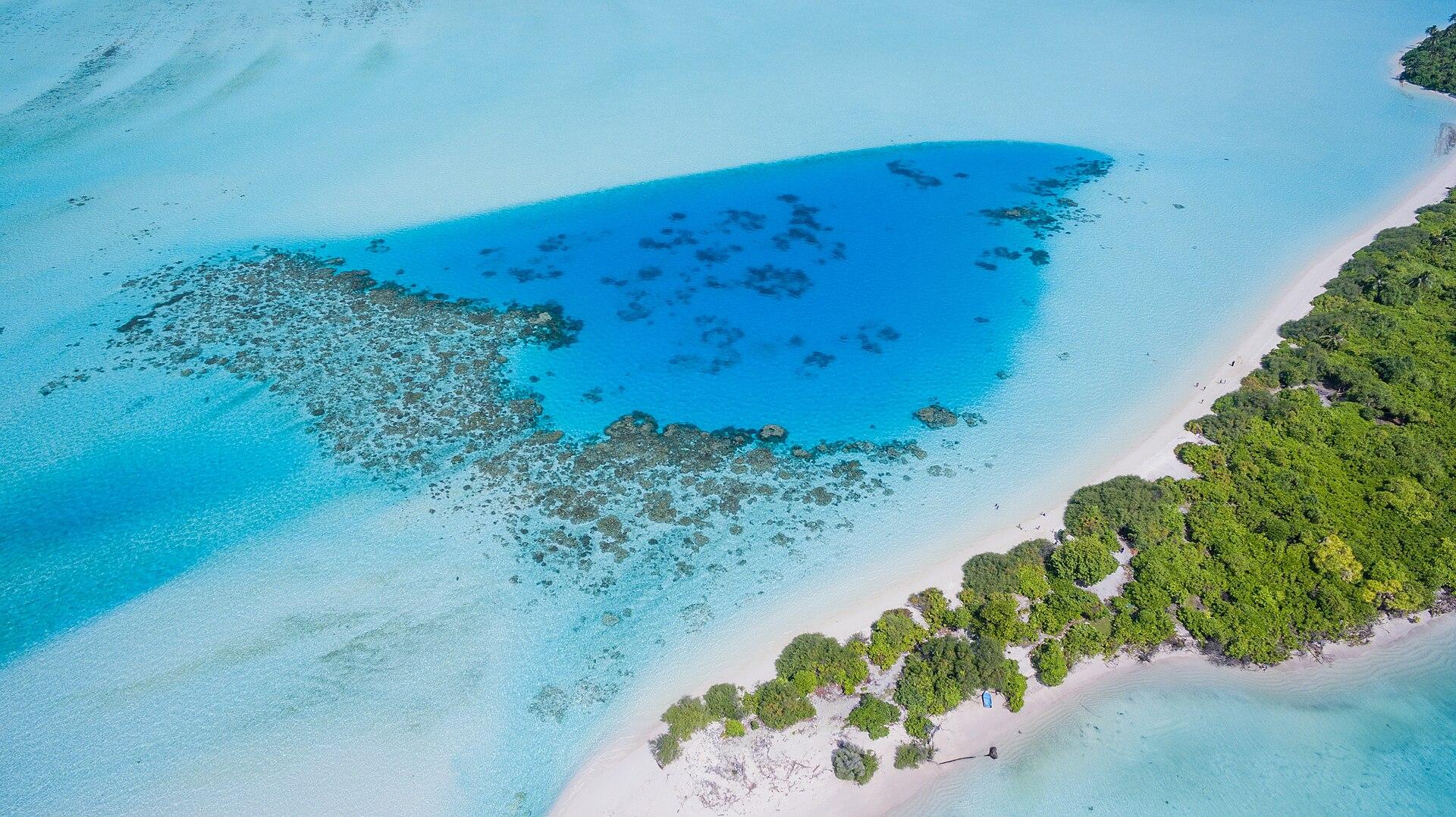 A tropical island surrounded by turquoise water in the Maldives